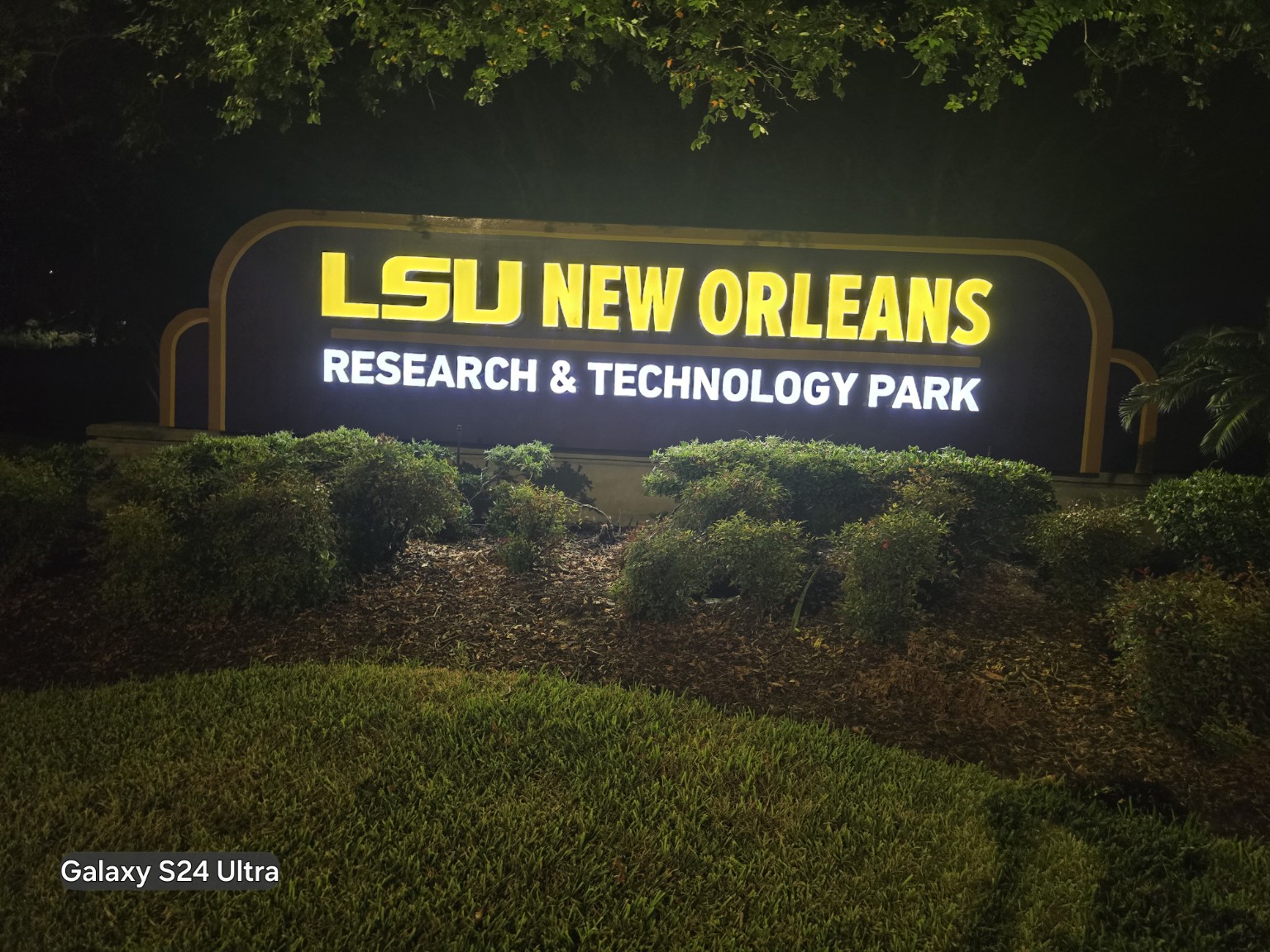 LSU New Orleans
